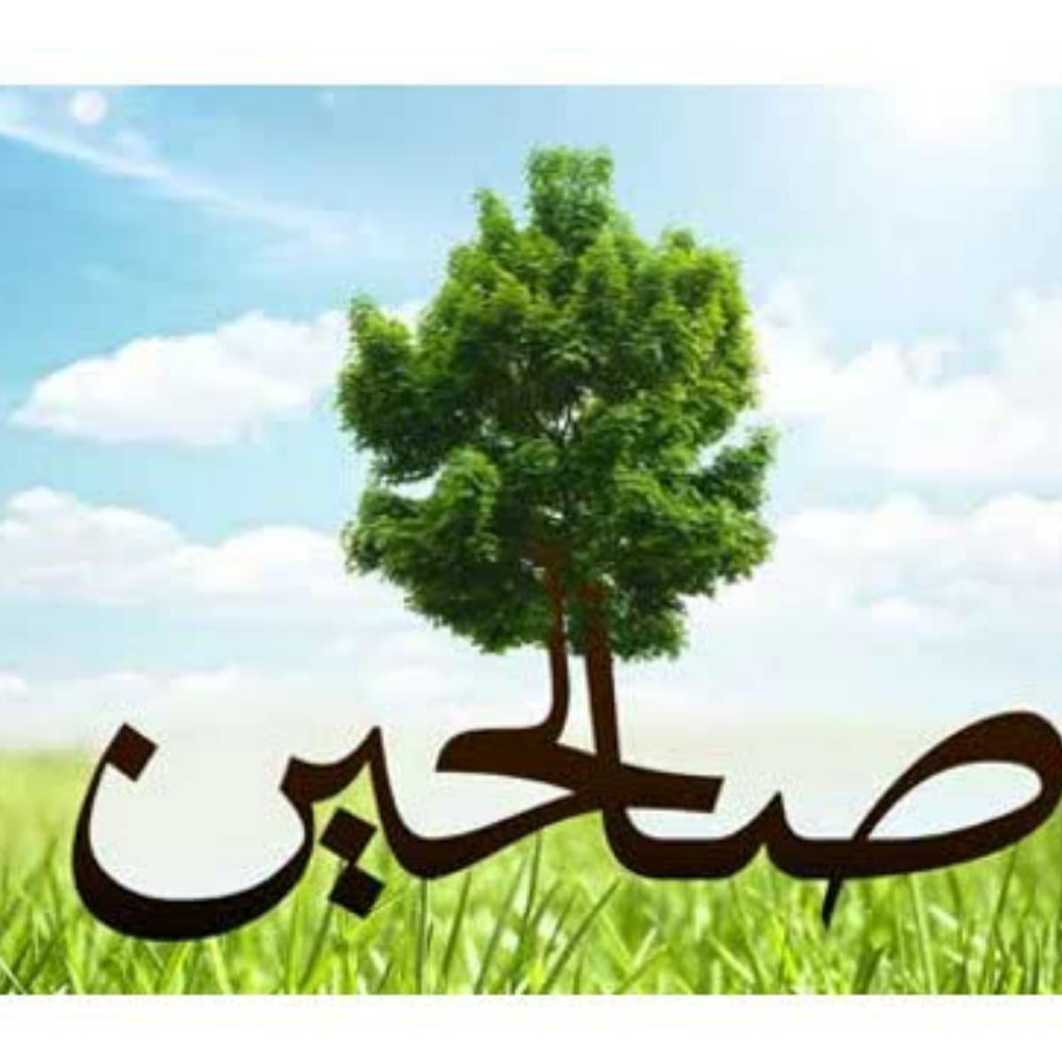 Saleheen-Session-01-tabatabaee-1-1-mp3-image دوره حلقات صالحین - تصویر 1